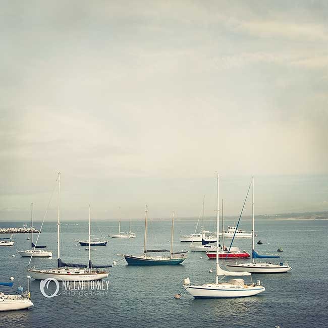 Sailboats in Monteray Bay CA Photography, nautical blue wall art print, sailing home decor print, beach photo - 8x8
