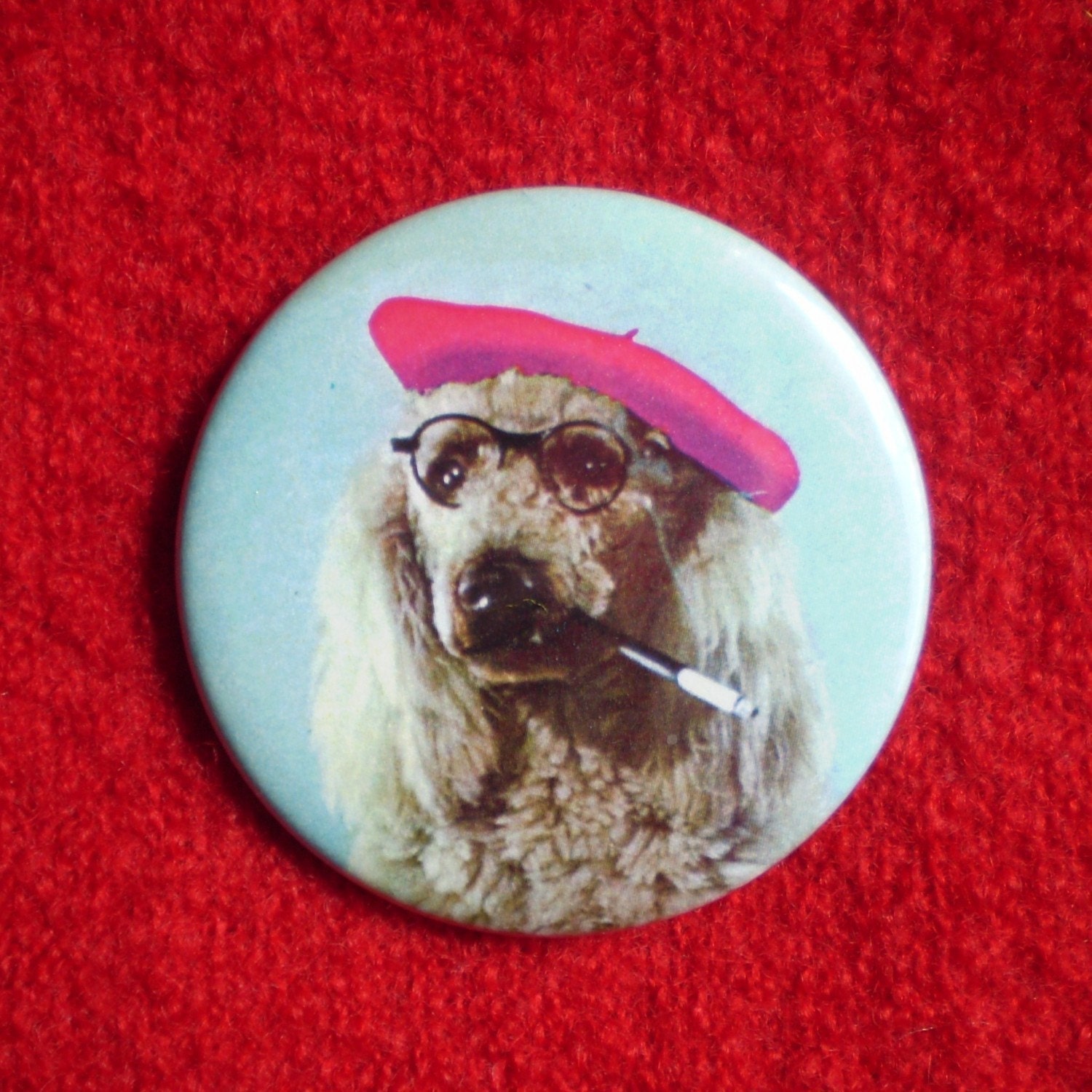 beat-niche, the beatnik french poodle