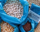 Reusable bulk food / produce bags for rice, flour, beans, all dry food - set of three turquoise