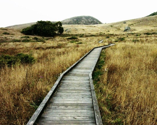 Landscape Photography - ochre gray dark rustic wall art decor - wood boardwalk - nature earthtones 8x10 - The Journey Awaits