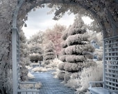 Rose Arbor Photograph, trees benches surreal romantic dreamy blue pink infrared 8x10 print - View from the Rose Arbor