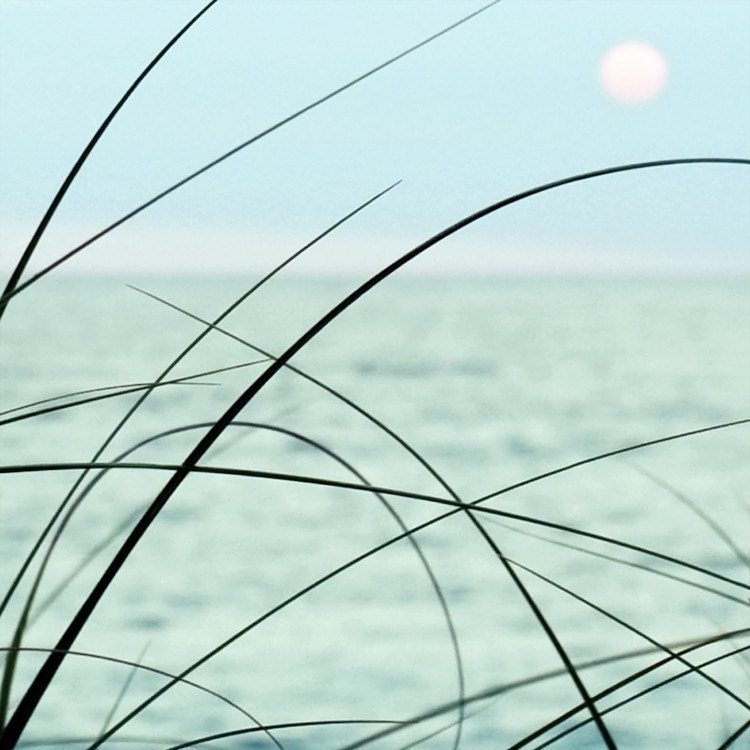 sea grass ocean sea oats sunrise shore waves horizon teal aqua 8x8  - Simplicity