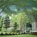 rose garden arbor trees green bushes spring green blue bench infrared art print 8x12 - This is the Garden