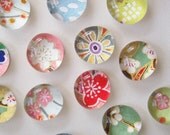 Mixed Bag- set of 8 Glass Magnets