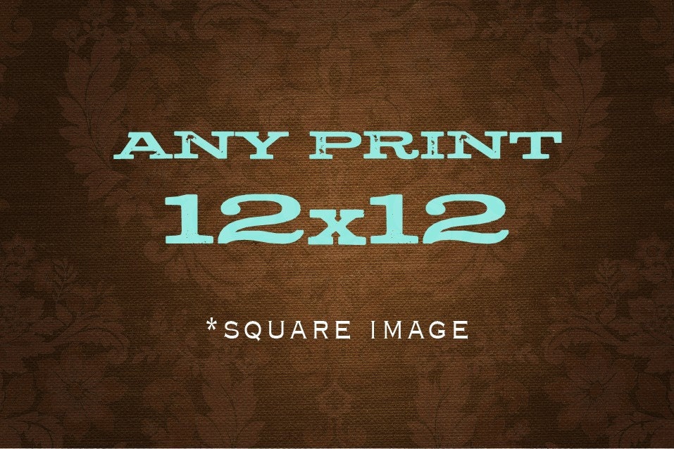 Any 12x12 Print
