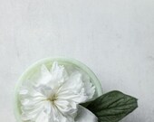 8x12 Mint Julep
