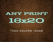 Any 16x20 Print