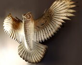Owl Sculpture hand carved by Jason Tennant, Silent Flight, Owl woodcarving