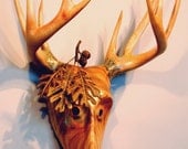 Reverence For Prey Mask wood carving by Jason Tennant. Nature art, wildlife art