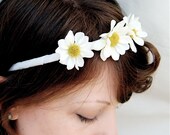 daisy