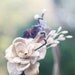 Natural harvest crown, Bridal hair crown, Woodland wedding accessory - WIND on the PLAINS