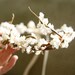 rustic flower bridal crown (adjustable) 'adeline'