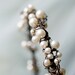 pearl wire tiara 'first frost'