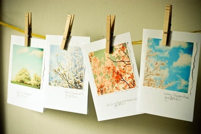 Spring .Flowers and Sky - garden note cards. Pretty paper goods. pastel . gift for her . nature . white pink blue Four 5x7 photo cards