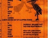 Nov. 2009 - The Other Herald - heralding the art of words - featuring Nutley Pond by Lyn Lifshin and poetry by Guy R. Beining