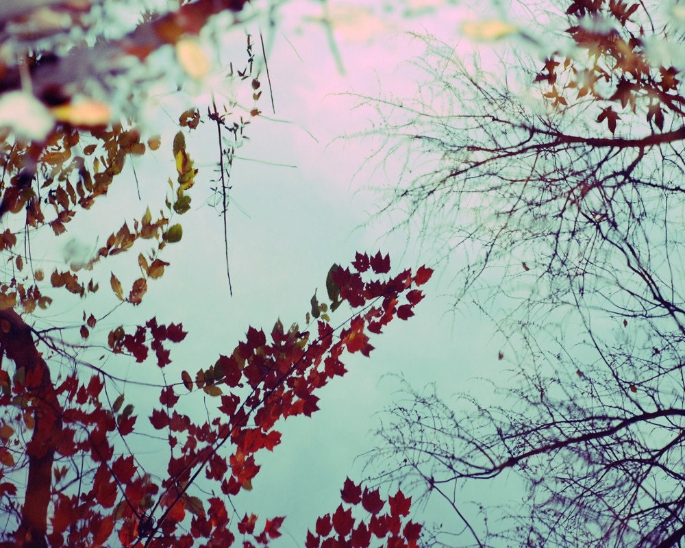 Autumn Leaves Photograph Reflection tree branches cyan red crimson blue sky 8x10 photo print