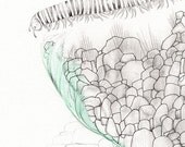 Original Illustration, Caterpillar and Stones, Childrens artwork
