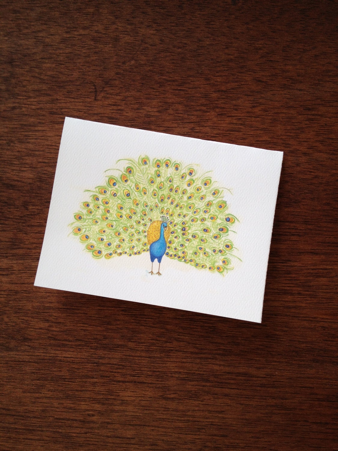 Peacock Notecard Set -- Horizontal