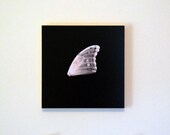 Butterfly Wing, a 6 x 6 photo block