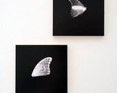 Butterfly Profile, a 6 x 6 photo block
