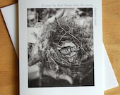 Dream Big Bird's Nest, set of 4 notecards