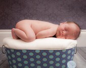 Baby Boy Photo Prop Galvanized Tub Perwinkle Laurel Dot Large Oblong