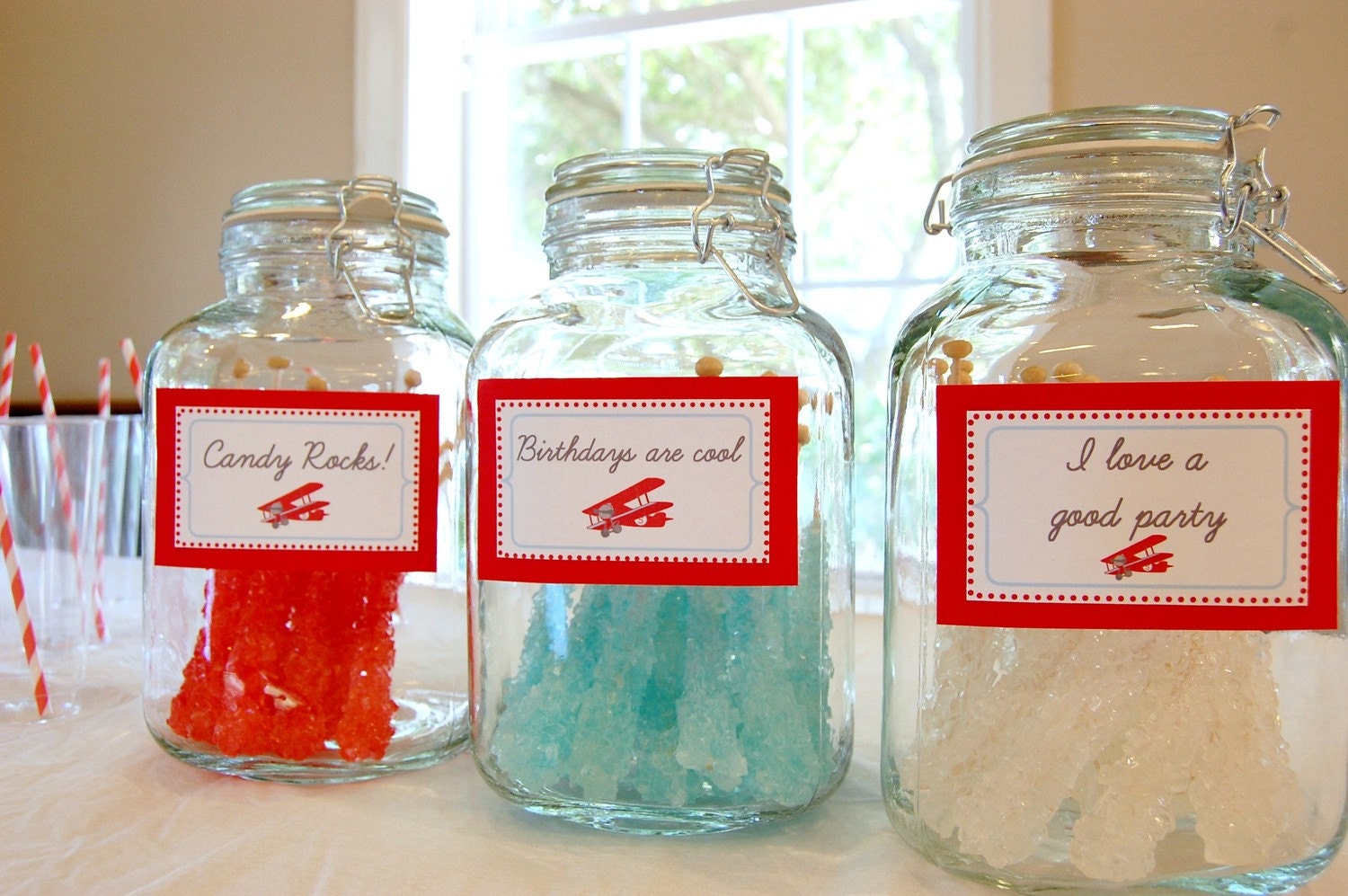 NEW - The Vintage Plane Collection - Custom Labels from Mary Had a Little Party