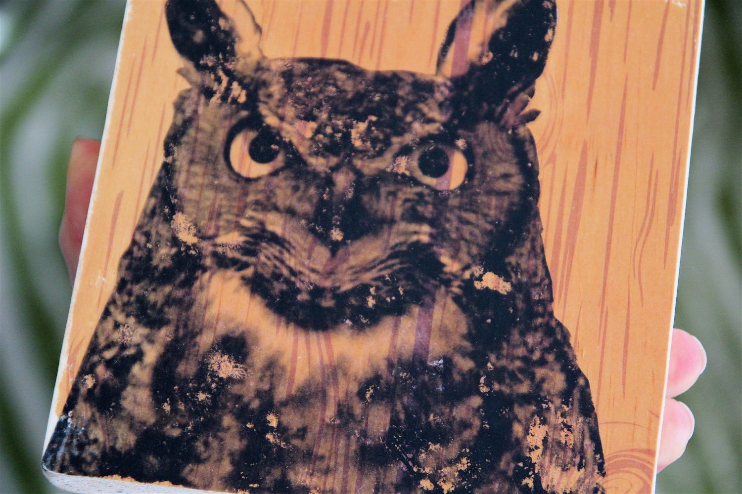woodland horned owl image transfer art block print on wood modern
