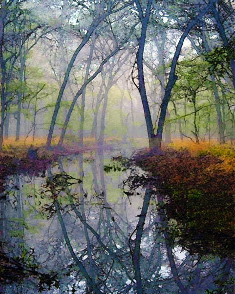 Autumn, Forest, Water, Pond, Trees, Landscape, Nature Photograph, Fine Art Painted Photograph, Giclee Print