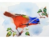 Bird Painting Watercolor Print - Red White Blue, Bird, Art, Bunting, Nature Art, Woodlands Garden Monaco Blue Poppy red - ACEO to 9 x 12