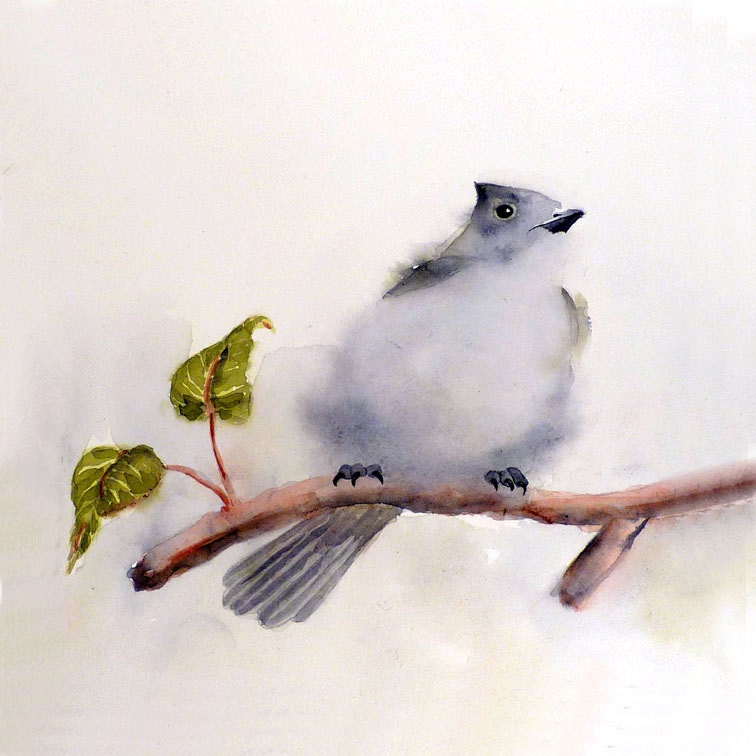 Bird Art Original Watercolor Painting Men Women Kids Titmouse Fluffy Soft Woodland Christmas in July Bird Gray Olive Green 8 x 8 Under 60