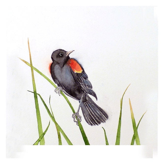 Original Watercolor Painting Bird Art Black Red Male: Autumn Apartment Dorm Men Women Children Feathers Nursery Freedom 7 x 9 Under 55