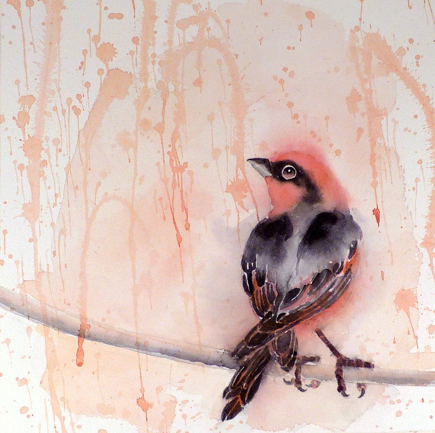 SALE 10% - Bird Art Original Watercolor Painting Men Women Kids Teens Finch Sunshine and Rain Nature Gift Under 75 USD