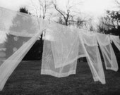 Amish Lye Soap Crumbles for laundry