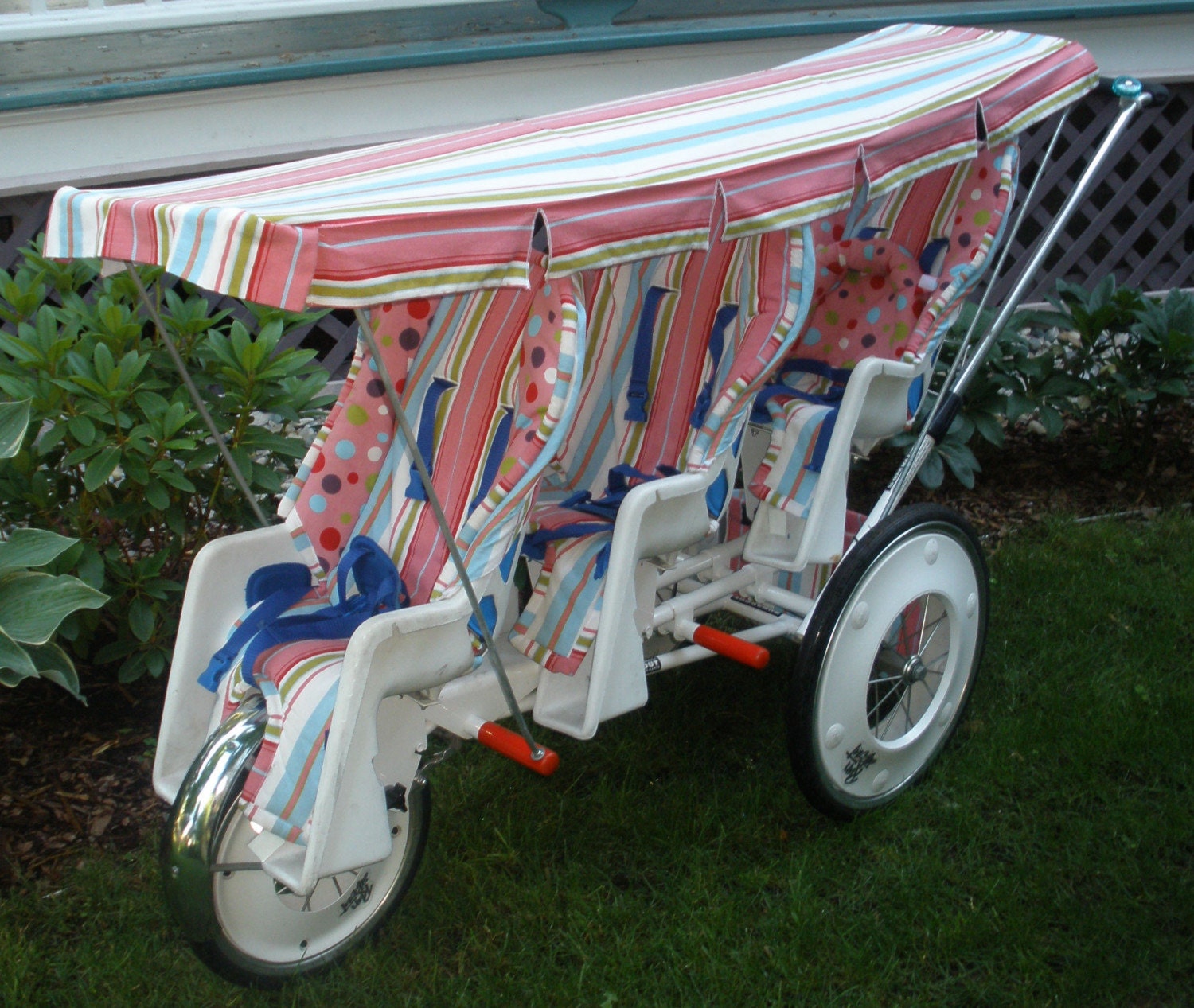 RunAbout Sun Canopy