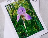 Floral Photo Card Purple Iris Flower