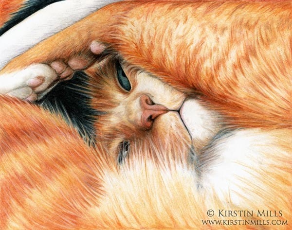 Cute Cat Art Print 5x7 Ginger Cat 'Peekaboo', Collectible Mini Print