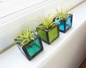 Air plant holder - Three stained glass cubes - Blue Green with Tillandsia Air Plant