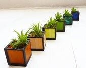 Air plant holder - Six stained glass cubes - Rainbow