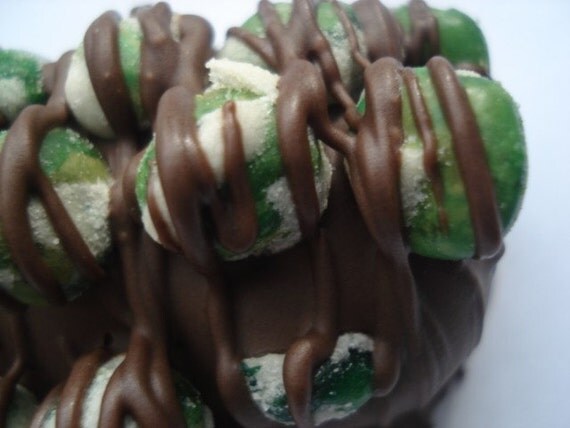 PEAS AND WASABI Chocolate Covered Pretzels