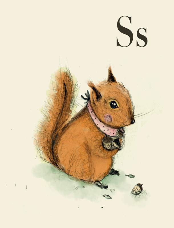 S for squirrel  Alphabet animal,  Print 6x4 inches