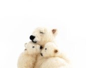 cuddle