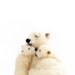 cuddle