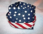 Mens Tie, Stars & Stripes, Red, White, Blue, Patriotic, July 4th, Mens Suit Tie 95c