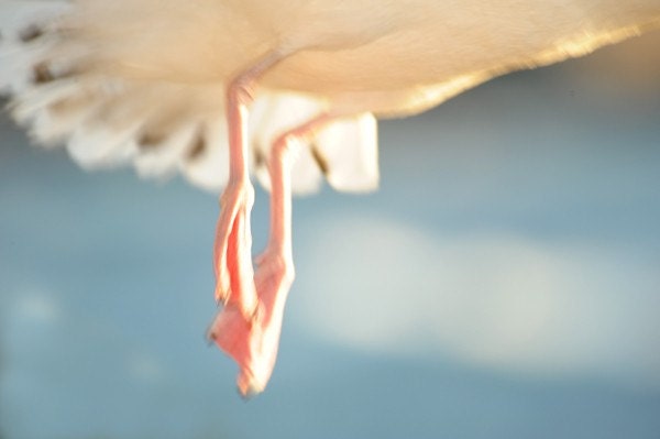 Fleeting Moment  5x7 original Photograph