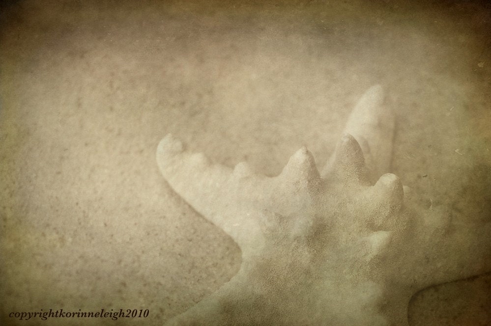 Sea Floor - 6x9 Original Fine Art Photo