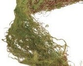 Artificial Moss Ribbon Roll for Terrariums, Miniature Gardens and Fairy Gardens or Craft