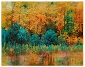 Autumn pines, 11x14, On Sale, Original, Fine Art photograph, yellow Wall decor, Nature decor, Fall decor, trees, Pine trees, woodlands