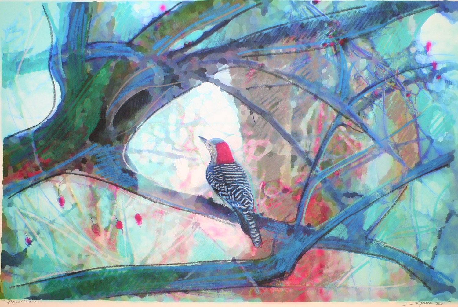 Perfect view, 11x17, Origina,l Signed, Fine art photography, mixed media, Nature decor, Fathers day gift, birds, art, Home decor