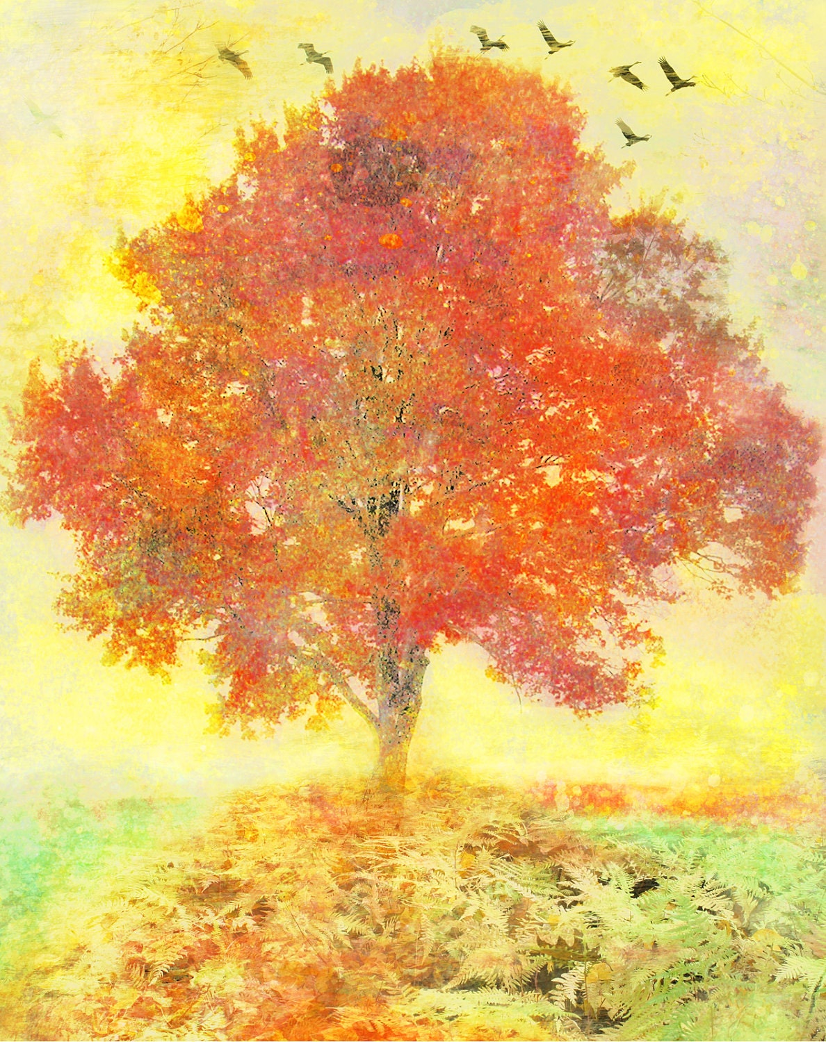 Autumn sunset, Reproduction, 8x10, Home decor, Decorating, nature decor, tree, Fall decor